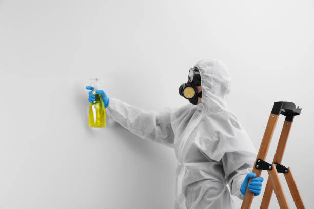 Trusted Leesburg, GA Mold Removal Experts